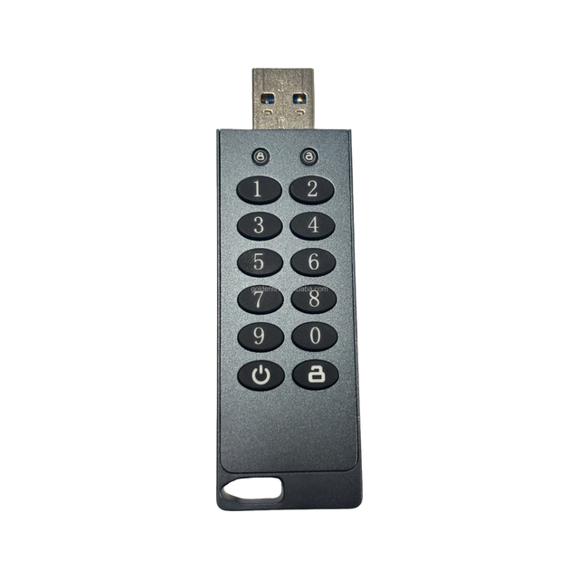 Goldenfir Encrypted USB (Grey 1) Flash Drive 32GB 64GB 128GB 256GB Digital Physical Encryption USB Flash Drive Safe and Reliable