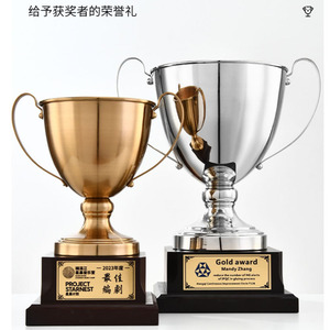 Metal <b>Trophy</b> <b>Engraving</b> 37cm 49cm Durable Award Supplies For Sports MVP Gift - Product Image 1