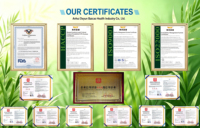 Thé aux Dix Trésors au Ginseng, Mélange Herbal Doux et Mélange de Plantes Apaisantes, Soulage la Fatigue, Sachet, Fabrication OEM Personnalisée, Vente Directe Usine, Certifié ISO & HACCP