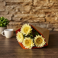 Bedruckte Einzigartige Recycelte Kunst-Kraftpapier-Hülle - Kreative Holzfaser-Pyramide für Blumen- und Pflanzenverpackungen