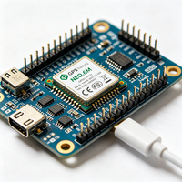 Composant électronique standard de contrôle industriel compact pour appareils IoT NEO-6M