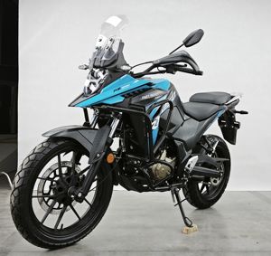 Motocicleta Todoterreno Fast Rider PANZER RX250 de Alto Rendimiento, 249.4cc, 4 Tiempos, Refrigeración por Aceite, Motor de Gasolina de 18kw, Potencia de 130km/h - Product Image 1