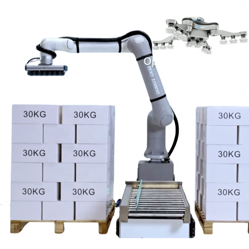 30kg Cobot Palletizer Universal Robots Dobot Robotic 6 Axis Arm Picking and Place Cobot Robot