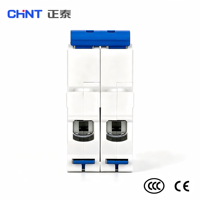Disjoncteur miniature à boîtier moulé (MCCB) Chint NXB-125 DZ158-125H 2P 10A 230V 400V 6kA Courbe C pour courant alternatif (CA) - Vente en gros