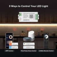 ESann Tuya App control WIFI Gradation sans fil CCT Pilote de lumière LED à intensité variable Pilote LED intelligent
