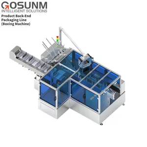 High-Grade Factory Product Back-End Packaging Line Can Be Connected to the Product Logistics Sorting Line.