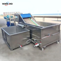 Verse Gember Wasmachine Taro Wortel Borstel Wasmachine Automatische Aardappel Schilmachine Goede Prijs Aangepast