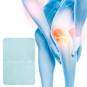 ボディ筋肉ハーバルサプリメントメントール痛み緩和パッチ関節痛 - Product Image 3