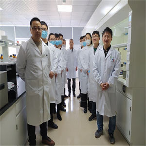 Fornecimento de Fábrica CAS:64665-57-2 Sal de <span class=keywords><strong>S</strong></span>ódio de Tolytriazole para Tratamento de Água - Product Image 5