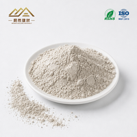 Additif pour peinture au latex en sac jumbo, argile bentonite, revêtements à base d'eau, 1250 mesh
