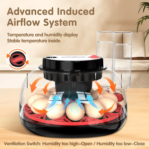 HHD ตู้อบไข่อัตโนมัติ12ช่อง M12H 12ฟองตู้ฟักไข่ไก่นกยูง - Product Image 3