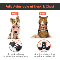 Nouveau harnais pour chien en néoprène personnalisé conçu sans traction