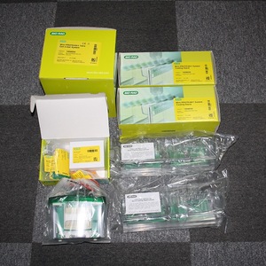 Biorad Mini Electrophoresis Apparatus 1658040 With Gel <b>Tank</b> 2 Plates 800ml Buffer Capacity - Product Image 5