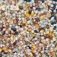 Mélange Alimentaire de Gros Équilibre Sportif pour Jeunes Pigeons : Pois, Millet, Graines de Tournesol, Graines d'Alpiste et Sorgho Séchés