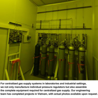 Régulateur de gaz haute pression monophasé pour oxygène, argon, CO2, azote - Performance d'entrée 3500 psi