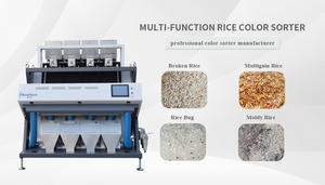 Trieuse de couleur de noyau d'arachide CCD de haute qualité pour noix de pin - Product Image 4