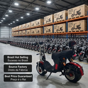 Moto électrique Citycoco 2000W sur mesure pour le marché brésilien, batterie lithium LiFePO4, scooter électrique haute vitesse avec clé à distance - Product Image 4