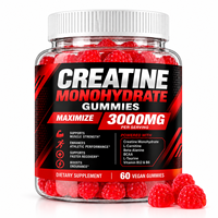 Gummies de créatine monohydrate en vrac, directement de l'usine, pour hommes et femmes, 3000 mg, 60 unités, améliore les performances athlétiques*, saveur framboise, végétalien