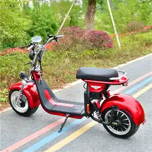 Good Supplier EEC/COC Variety Of Styles For Citycoco Electric Scoote Around The World Made In China