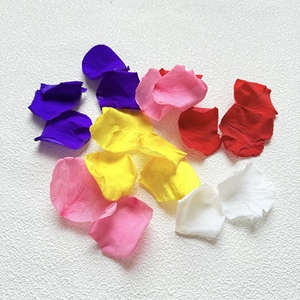Petali di Rosa Essiccati e Conservati 100% Naturali di Alta Qualità per Decorazione, Tè alle Erbe di Rosa, Artigianali ed Ecologici - Product Image 2