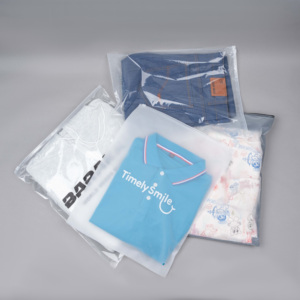 Tùy chỉnh Matte/Frosted phân hủy sinh học bao bì nhựa dây kéo túi xách, t Áo sơ mi đồ bơi Zip khóa Quần áo túi với logo - Product Image 3