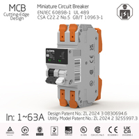 Disjoncteur miniature domestique en cuivre SPN 36 mm MCB UL489 CSAC22.2No5 IEC EN60898-1 Conception brevetée unique Câblage rapide 10kA