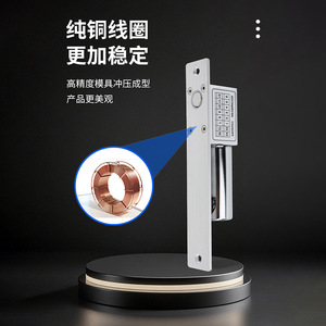 Smart <strong>Electronic</strong> Lock 200mm DC12V App Control For Glass Wooden Fire Metal <strong>Doors</strong> - Product Image 3
