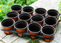 Plateau de transport économique pour 15 pots de fleurs, support pour orchidées papillon, plateau de semis en plastique pour serres et pots de balcon