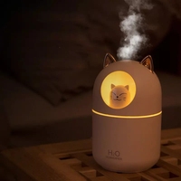 Humidificateur de table 300 ml USB avec lumière douce effet coucher de soleil, diffuseur d'arômes pour voiture