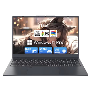 15.6 pollici FHD IPS Display Touch Screen <span class=keywords><strong>Laptop</strong></span> Intel Celeron N5095 Windows 11 <span class=keywords><strong>Numeric</strong></span> <span class=keywords><strong>Keypad</strong></span> formazione Computer per ufficio a casa - Product Image 1