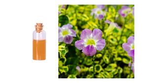 Gloryage Violetex Meilleur sérum anti-âge pour le visage et lotion hydratante pour le visage Activation cellulaire Cicatrisation des plaies Grade cosmétique pH 4.0-6.0 - Product Image 2