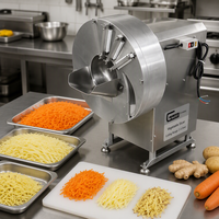 Fruit-, groente- en aardappel snijmachine, -schaafmachine en -hakselaar voor aardappelen, wortelen, gember, cardaba, bananen etc.