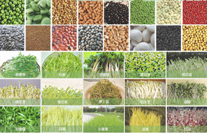 Máquina <span class=keywords><strong>de</strong></span> cultivo <span class=keywords><strong>de</strong></span> forraje verde <span class=keywords><strong>para</strong></span> <span class=keywords><strong>ganado</strong></span> <span class=keywords><strong>de</strong></span> hierba <span class=keywords><strong>de</strong></span> gran oferta - Product Image 4