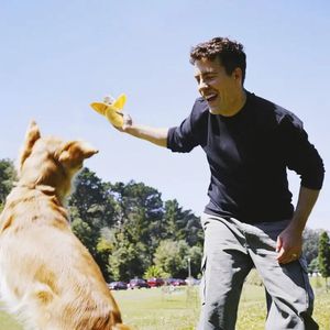 Mainan Anjing Boneka Plush Custom Grosir, Set Mainan Anjing Lucu Berbunyi, Mainan Anjing Berbunyi Grosir untuk Hewan Peliharaan - Product Image 6