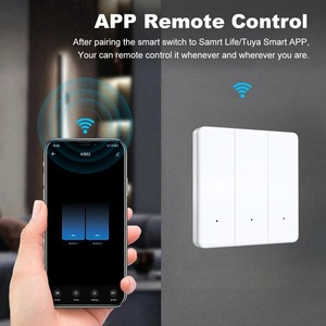 Interruptor de Parede Inteligente WiFi 2.4GHz com Botão e Controle por Voz Alexa & Google Assistant 10A 240V Multi-Gang IP20 - Product Image 2