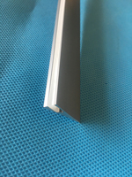 Bande de silicone néon super mince 4*8mm sans bande LED
