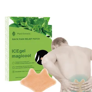 Back pain patch chinese 8hours therapy Lumbar pain All Natural Herbal Eco-friendly Health care products OEM Retail