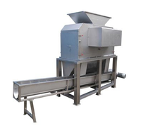 Sinaasappel/Appel/Druivensap Automatisch Of Semi-Auto Vruchtensap Passiepulp Machine Passievrucht Concentraat Verwerkingslijn Voor Mango Ananas Pulp Crush Pletten Pulp Pulping