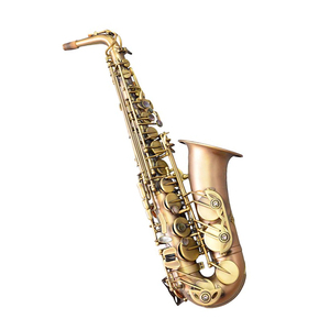 Saxofón Alto Profesional Huayun, Cuerpo <span class=keywords><strong>de</strong></span> Latón, Acabado Mate Antiguo, Gran Calibre, <span class=keywords><strong>Instrumento</strong></span> <span class=keywords><strong>de</strong></span> <span class=keywords><strong>Viento</strong></span> Ajustable con Soporte y Estuche - Product Image 1