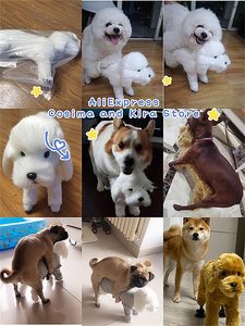 Juguete de Peluche Interactivo para Perros, Compañero Sexual para el Celo, Juguete Divertido para Chihuahua, Juguetes Sexuales para Perros - Product Image 5