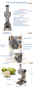 Fácil de usar de LA PIEL máquina de eliminación de precio como peladoras de <span class=keywords><strong>coco</strong></span> - Product Image 2