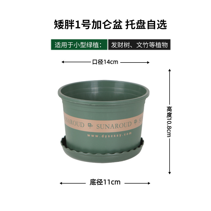 [8-pack] Short 1-gallon (14cm diameter) Quality Choice