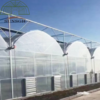 Gouttière de culture souterraine PP Dutch pour la culture de tomates en serre