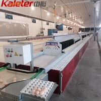 Machine à rouleaux automatique pour la collecte des œufs de poules pondeuses dans les nichoirs de ferme avicole