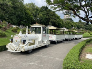 Servicio OEM/ODM, Tren Turístico Eléctrico sin Rieles de Baja Velocidad y Cero Emisiones, con Capacidad para 62 Adultos, para Turistas - Product Image 1
