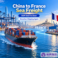 Agent maritime Chine-France, agent d'expédition de conteneurs, services logistiques de fret maritime DDP LCL depuis Shenzhen pour l'importation de marchandises