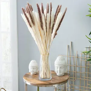 2023 boho hot sale dried pampas grass flowers 15pcs per bundle home decor pampas grass decor pampas grass wedding centerpieces