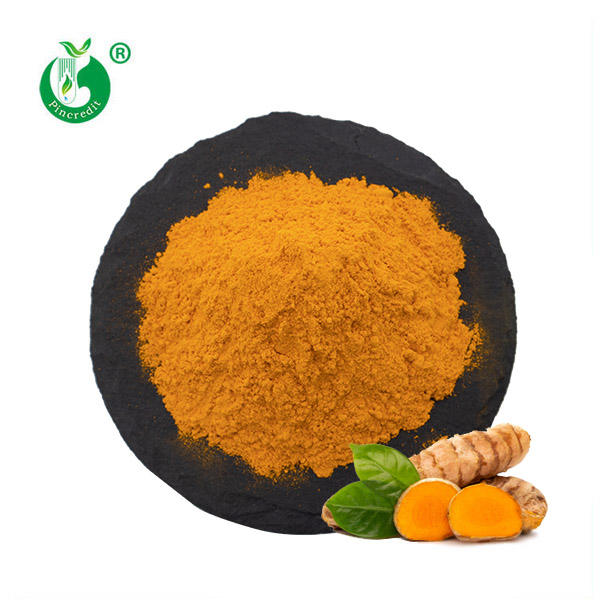Pincredit Bulk Price Natural Turmeric Extract 95% Curcumin Powder