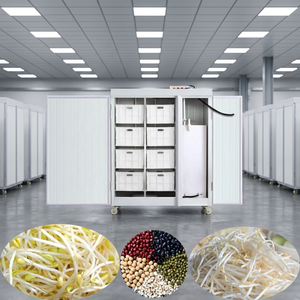 Macchina Automatica Commerciale per la Lavorazione di Prodotti a Base di Fagioli, 150KG/GIORNO, per Germinazione e Coltivazione di Soia e Fagioli Mung - Product Image 1