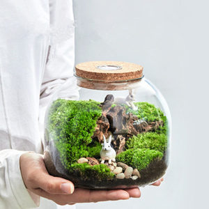 <span class=keywords><strong>Vase</strong></span> en verre DIY pour terrarium de mousse avec lumière LED et bouchon, décoration d'intérieur, pot de fleurs pour mariages et table - Product Image 1